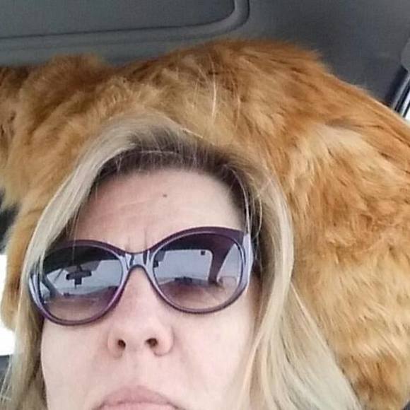 clem1cat